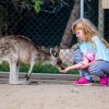 Australien Album